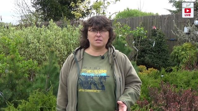 Маслянистые шарики в контейнерах с растениями. смотреть онлайн