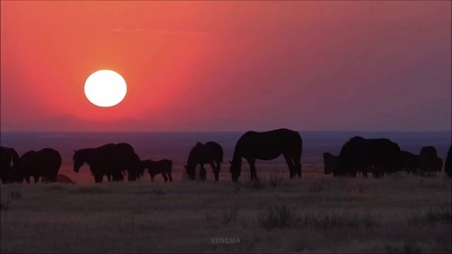 Эту музыку можно слушать вечно! БОЖЕСТВЕННАЯ Музыка, Успокаивает, помогает Расслабиться и Уснуть! смотреть онлайн