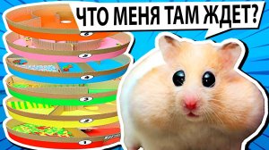 ? Самый большой в мире лабиринт для хомяков - Полоса препятствий!mp4