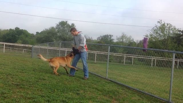 Shades toy play homework week 1 смотреть онлайн