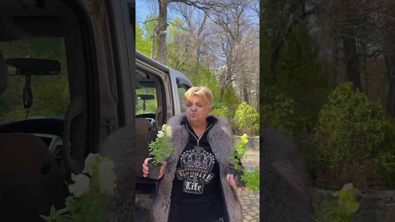 ПОЧЕМУ Я ТАК НЕЖНО ЛЮБЛЮ ЛЬВИНЫЙ ЗЕВ ОДНОЛЕТНИКИ НЕПРИХОТЛИВЫЕ И ДОЛГОЦВЕТУЩИЕ #shorts смотреть онлайн