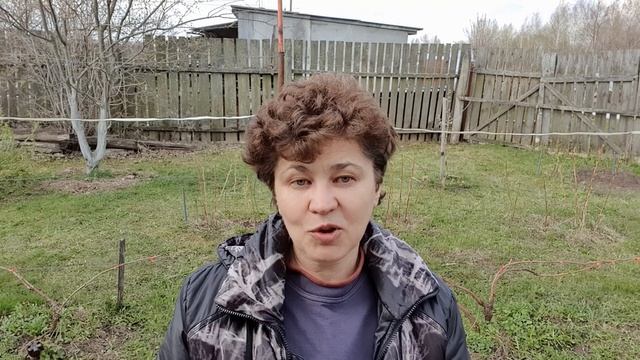 Профилактические обработки винограда смотреть онлайн