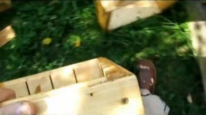 высокое многофункциональное дно улья http://www.medov.by/ http://carnica.by/ http://www.buckfast.by