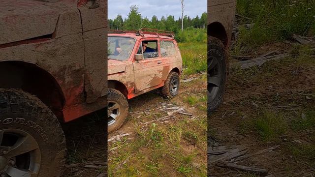 В поисках хариуса р.Коченьга Вологодская обл. . смотреть онлайн