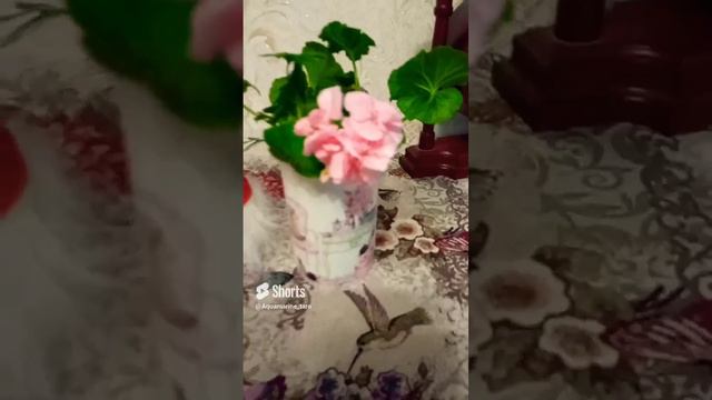 #цветы #настроение #relaxing #relax #shorts #short #shortvideo смотреть онлайн