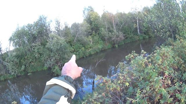 Охота на утку с подхода смотреть онлайн