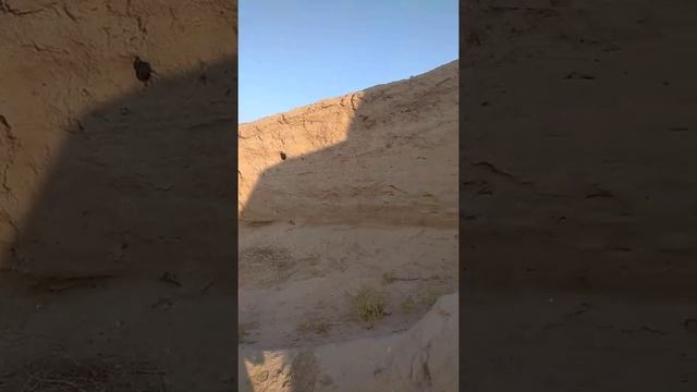 Городище Сауран смотреть онлайн