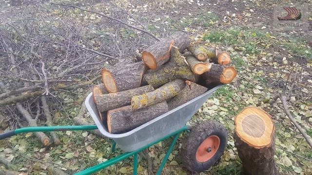 #133 Закрома родины. Переехали в село из столицы. смотреть онлайн