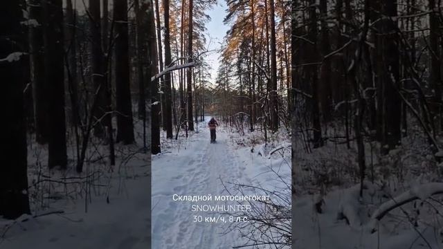 Мотоснегокат SnowHunter. Складной - можно перевозить в багажнике автомобиля. Быстрый - 30 км/ч. смотреть онлайн