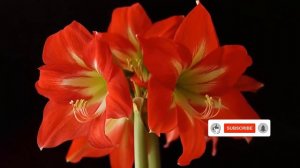 Лучшие композиции Сергея Чекалина музыки для души