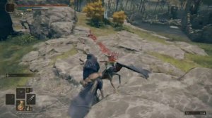 Elden Ring : Где Найти Картину "Возвращение Домой" или  Скарабей чудес  ?! | Гайд ?