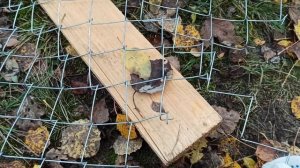 Соединить сетку рабицу