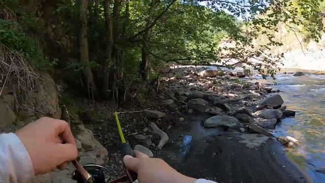 Рыбалка. Горная рыбалка. Дикая форель. Ручьевая форель. Итоги конкурса. смотреть онлайн