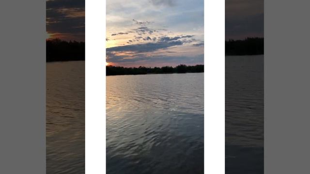 Рыбалка на сома смотреть онлайн