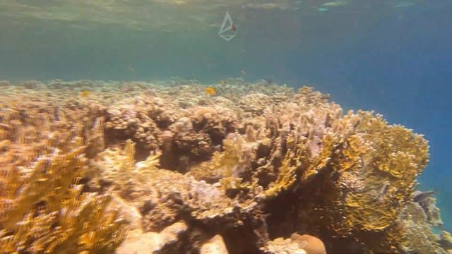 Brayka Bay Mars Alam left reef Egypt 2021/ Брайка Бей Марса Алам Єгипет лівий риф - фрідайвінг смотреть онлайн