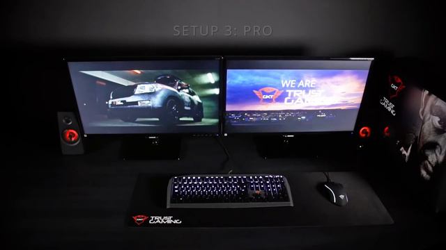 Three Trust Gaming Setups for Building Champions смотреть онлайн