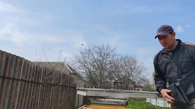 ОШИБКИ ПЧЕЛОВОДА ВЕСНОЙ выравнивать пасеку спасать усилят слабые зимовалые пчелиные семьи не стоит☝ смотреть онлайн