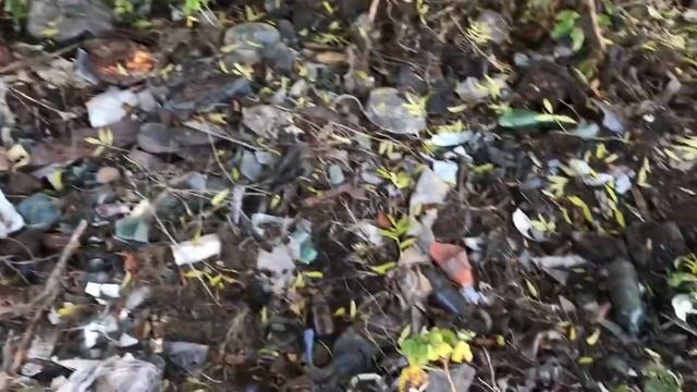 Неудачный коп с MD3010i смотреть онлайн