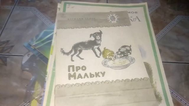 СПИСАННЫЕ КНИГИ ИЗ БИБЛИОТЕКИ - ЧТО ИНТЕРЕСНОГО МОЖНО ВЗЯТЬ БЕСПЛАТНО И НАВСЕГДА смотреть онлайн