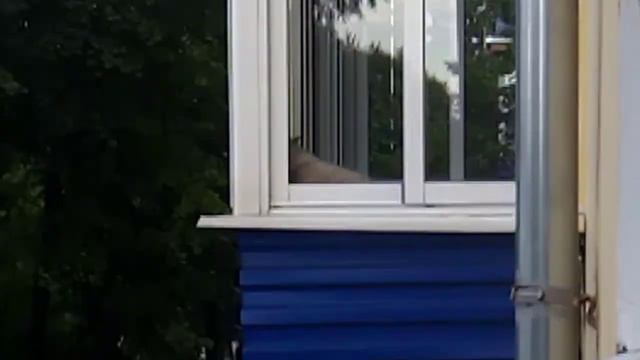 Что у него в руке граната?!#2 смотреть онлайн