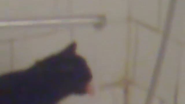 Святой источник .mp4 смотреть онлайн