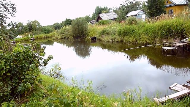 Котики Сад Пруд Рыбалка! смотреть онлайн