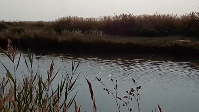 ОБРАЩЕНИЕ К РЫБАКАМ (и не только) смотреть онлайн