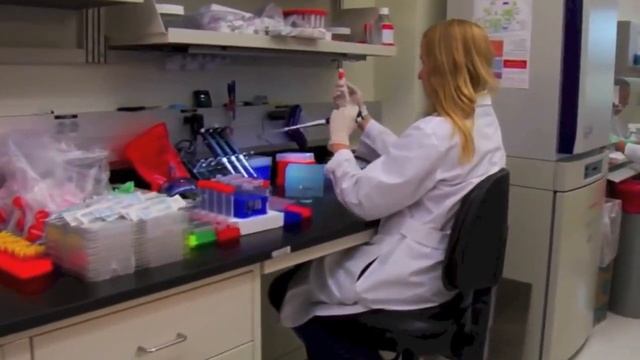 Transplante fecal (si, es lo que estas pensando) смотреть онлайн