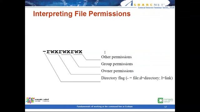 Fundamentals of working at the command line at Graham смотреть онлайн