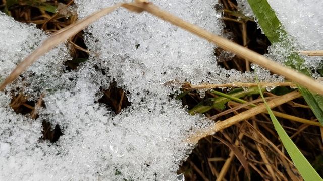 Осенний фото-пейзаж 4К смотреть онлайн