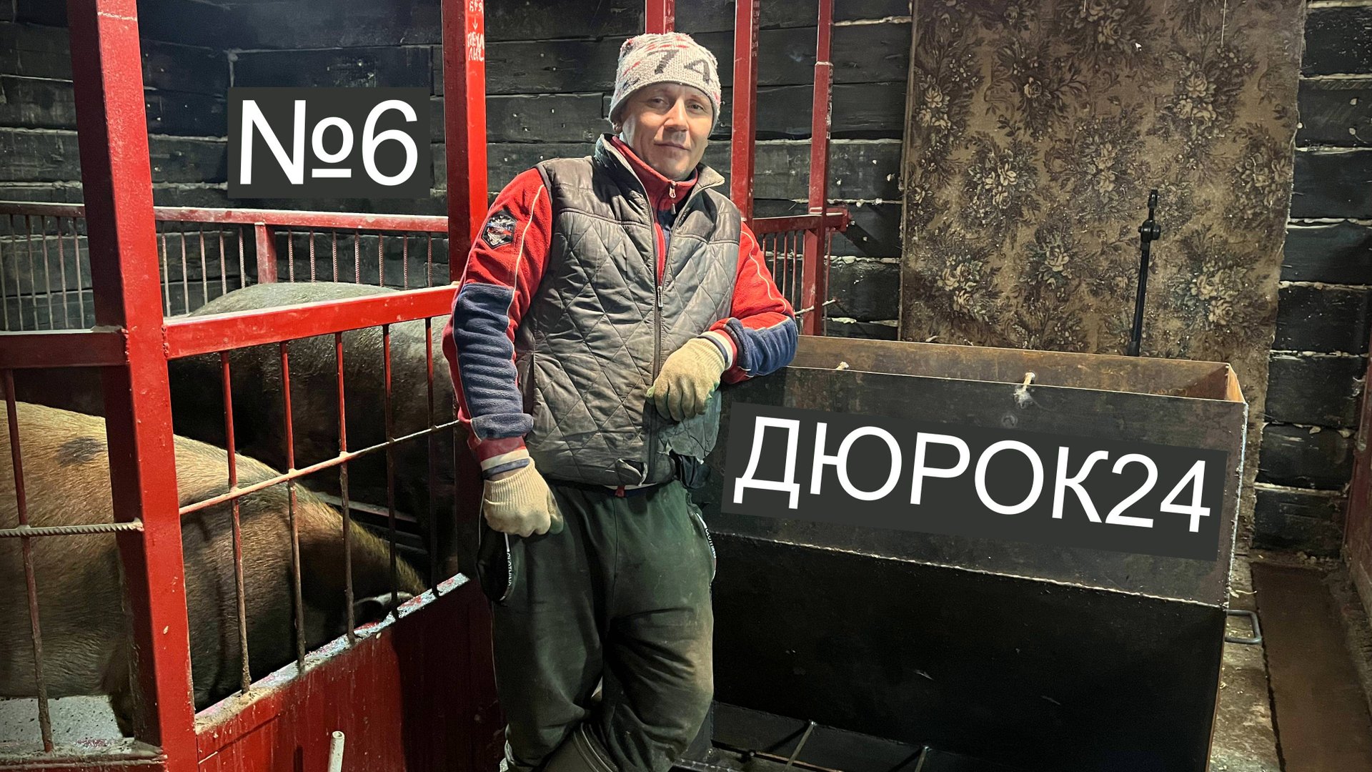 Nº6 БУНКЕРНАЯ
КОРМУШКА ДЛЯ ПОРОСЯТ!!!