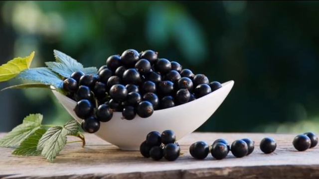 ҚАРАҚАТ. СМАРОДИНА. ҚАРАҚАТТЫҢ ПАЙДАСЫ. ҚАРАҚАТПЕН ЕМДЕЛІҢІЗ смотреть онлайн