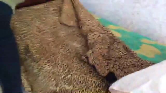 Махровые простыни отличного качества! Посылка с FLIP KZ смотреть онлайн