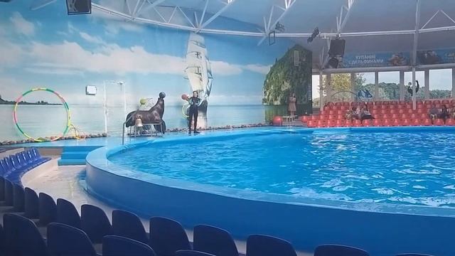 Delfinarium Minsk (Минский дельфинарий «Немо») смотреть онлайн