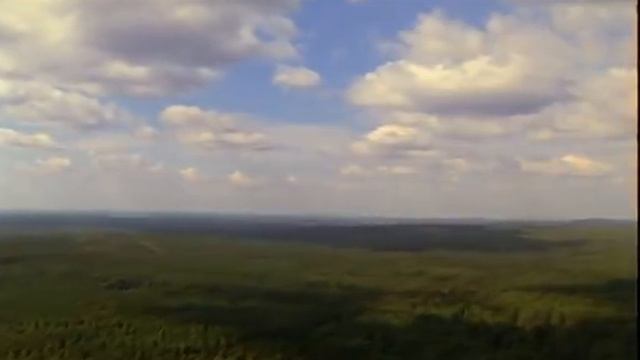 Охота на изюбря (10 серия)