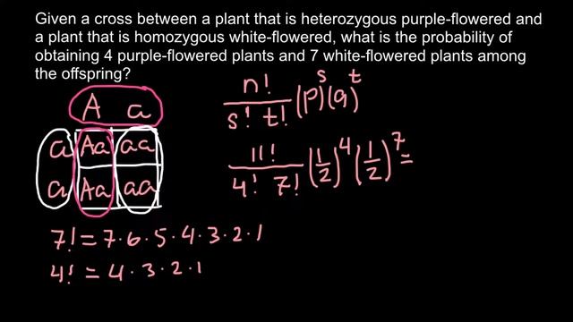 How to solve Probability Problems in Genetics using Factorial Method смотреть онлайн