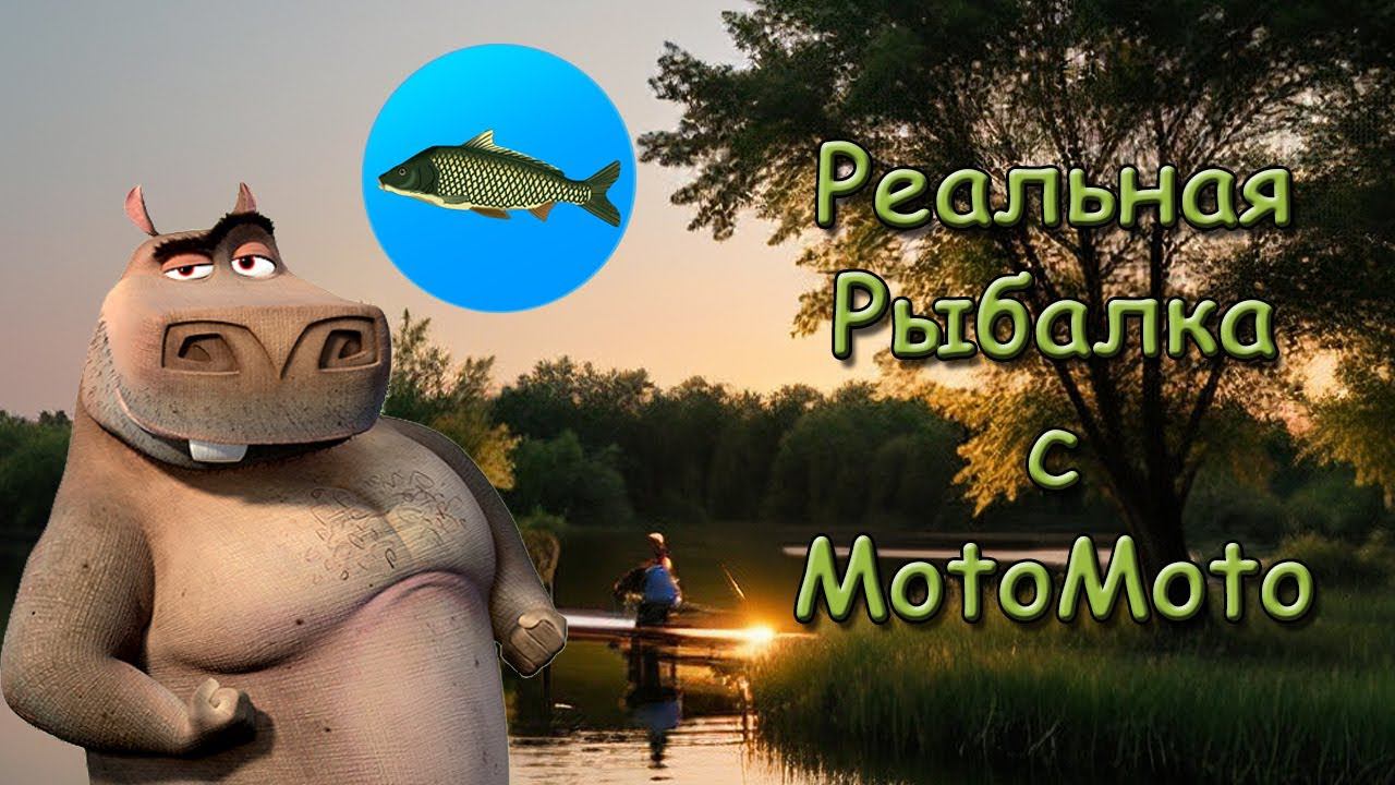Реальная Рыбалка | True Fishing смотреть онлайн