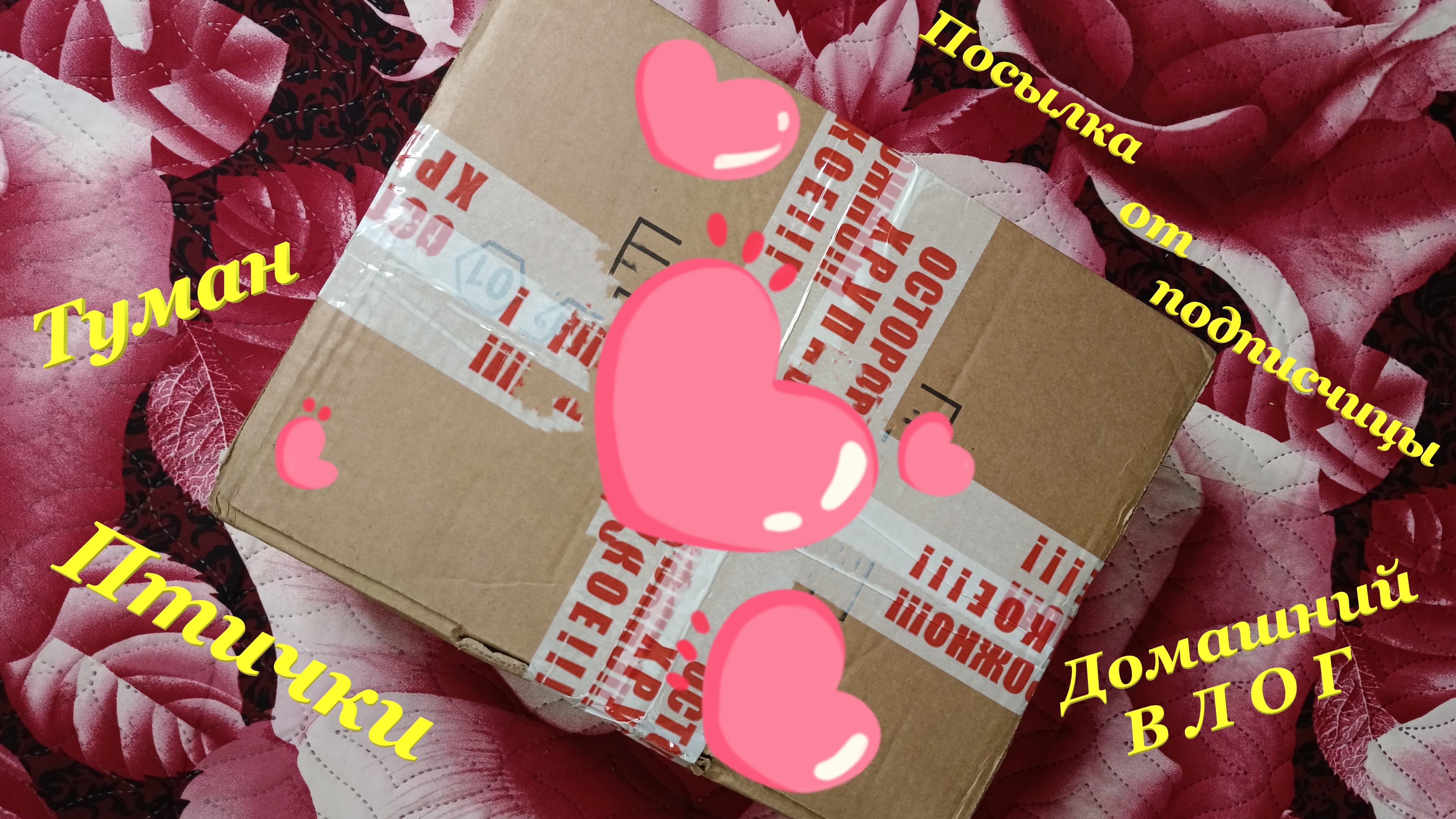 Туман??️ / Птички?❤? / Ещё одна посылка от подписчицы? / Домашний ВЛОГ смотреть онлайн