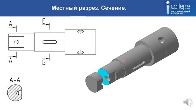Местный разрез Сечение