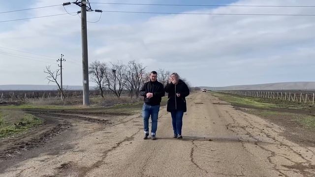 Виноград в сезоне 2021/Выращивание винограда/Сорта винограда и условия выращивания винограда смотреть онлайн