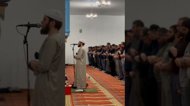 Очень красивое Чтение Коран, Билял Абдулхаликов. #рамадан2023 #ramadan #ислам #коран #нов смотреть онлайн