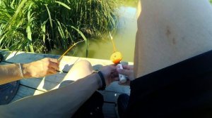 ЛОВЛЯ РАКОВ НА ЗИМНЮЮ УДОЧКУ ЛЕТОМ I РЫБАЛКА