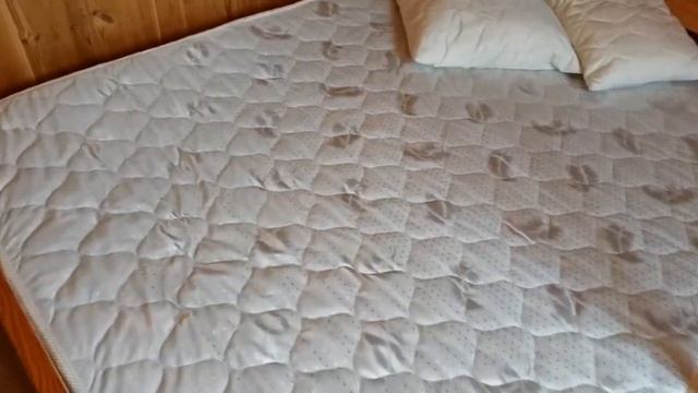 Отзыв о матрасе dimax оптима ролл лайт 140X200 и магазине "Анатомия сна" смотреть онлайн