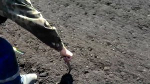 Фреза 2,2м в работе с  МТЗ 82 1