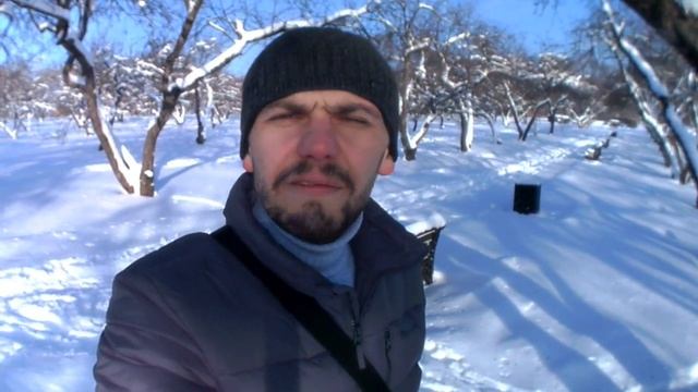 МИНИ ВЛОГ: Кормушка для птиц в парке смотреть онлайн