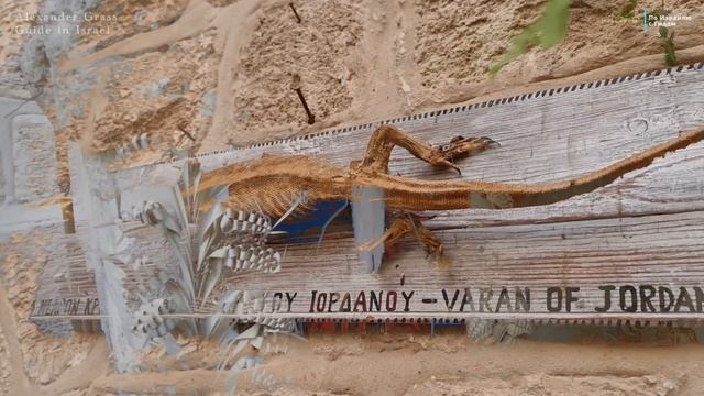 Герасим на Иордане / Монастыри на реке Иордан смотреть онлайн