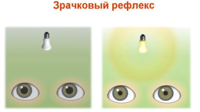 Про зрение смотреть онлайн