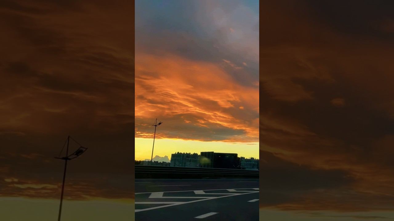 Люблю тебя / SEVENROSE #аленаросс #sevenrose #виктормогилатов #чернаясмородинаальбом #алёнаросс смотреть онлайн