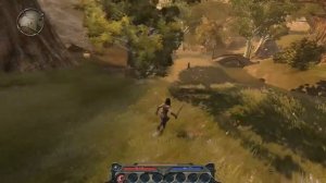 Могла бы стать потрясающей. Divinity II: Ego Draconis | Кровь драконов