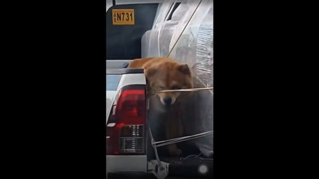 Эти недорозумения на дороге, заставляют задуматься Стоит ли вообще садиться за руль смотреть онлайн